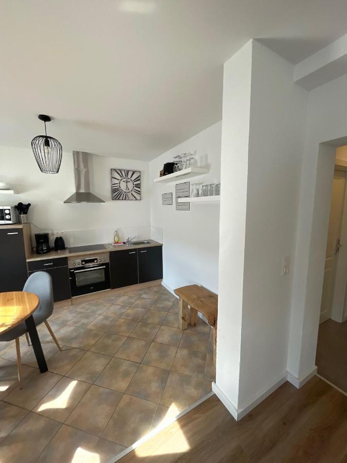 Apartmenthaus Elbblick Muehlberg Бад-Шандау Екстер'єр фото